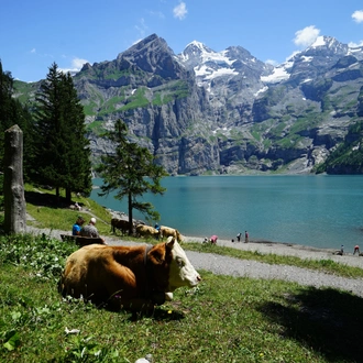 tourhub | Exodus Adventure Travels | Walking in Kandersteg 