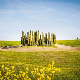 tourhub | Stile Italiano Tours | Wine Trails and Culinary Delights of Tuscany 