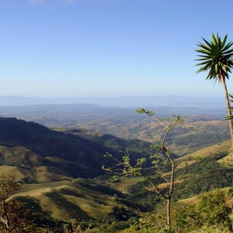 tourhub | Today Voyages | Monteverde Cloudforest Essences, Short Break 