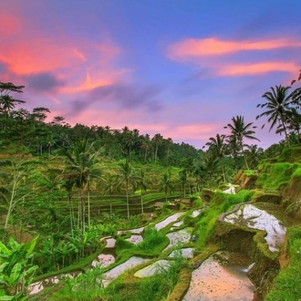 Magical Bali with Java Guided Tour
