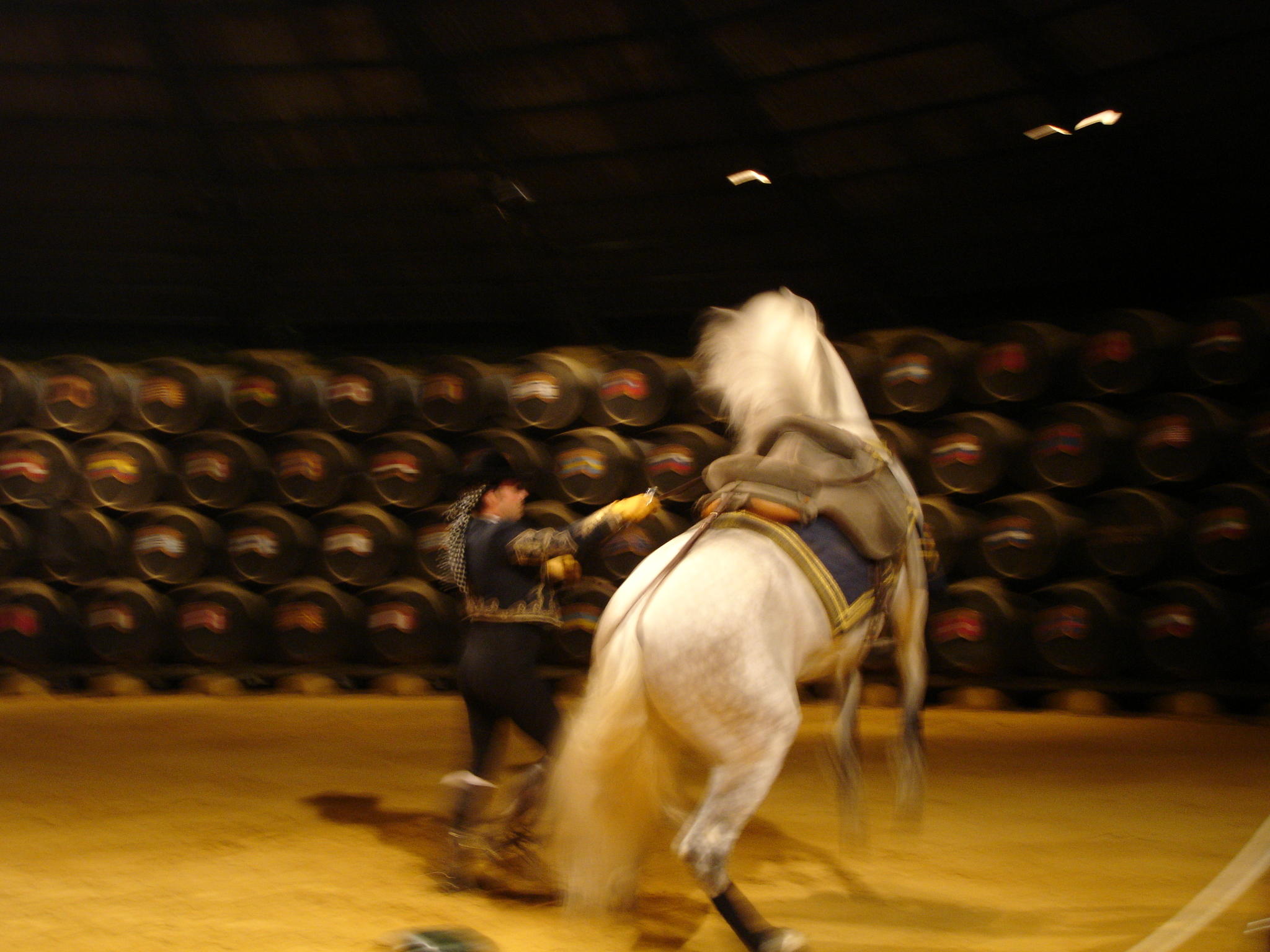 Jerez and Cádiz from Seville - Wine, Horses and Light with Pickup in Small Group - Alloggi in Siviglia