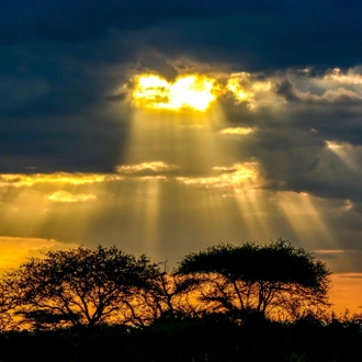 tourhub | Beach and Safari Holidays | Beyond Borders: A Tanzanian Adventure Through Landscapes & Wildlife 