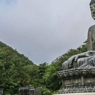 tourhub | On The Go Tours | Essential South Korea and Jeju - 12 days 