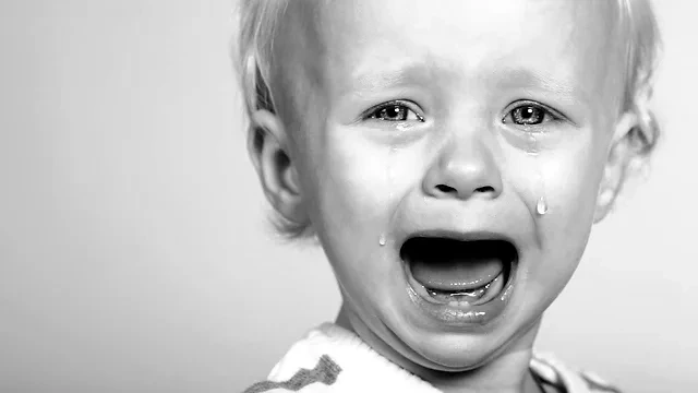 Représentation de la formation : DLPGN-13 Les pleurs et colères du jeune enfant en EAJE