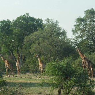 tourhub | Exodus Adventure Travels | Cycling the Drakensberg & Kruger 