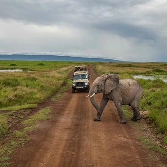 tourhub | G Adventures | Kenya to Zimbabwe Overland Safari 