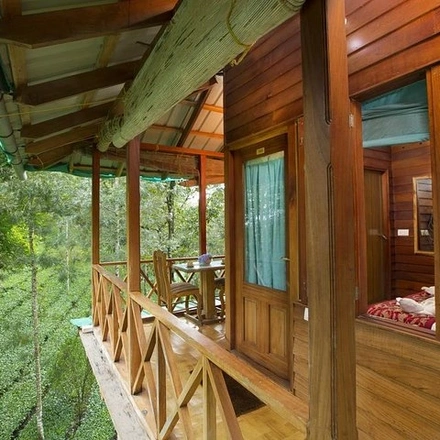 Treehouse stay in munnar