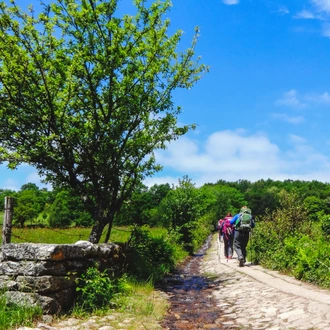 tourhub | Exodus Adventure Travels | Camino de Santiago Trek 