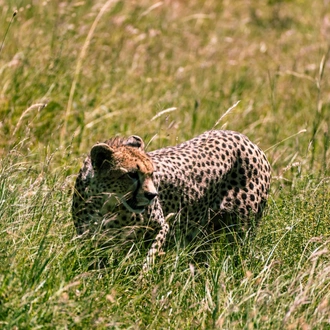 tourhub | Beach and Safari Holidays | From Arusha: 11 days Lake Hopping Safari 