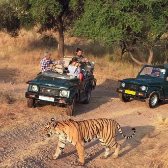 tourhub | Holiday Tours and Travels | 7-Days Golden Triangle with Ranthambore Tour 