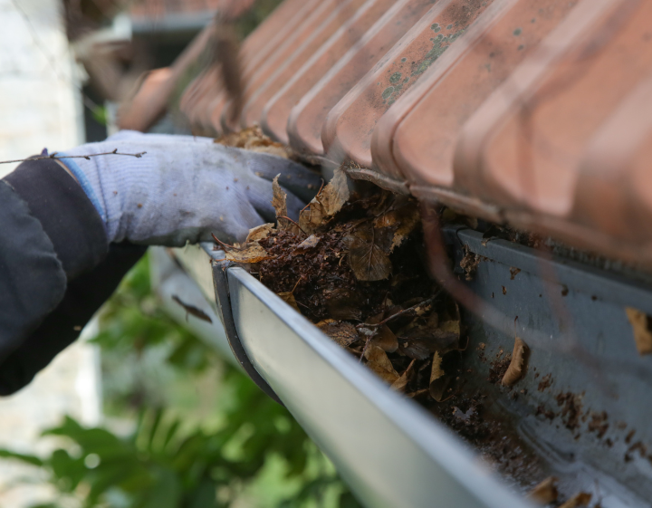 Top 5 Signs Your Gutters Need Immediate Attention