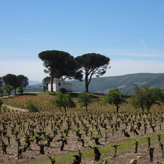 tourhub | Exodus Adventure Travels | Cycle the Camino de Santiago 