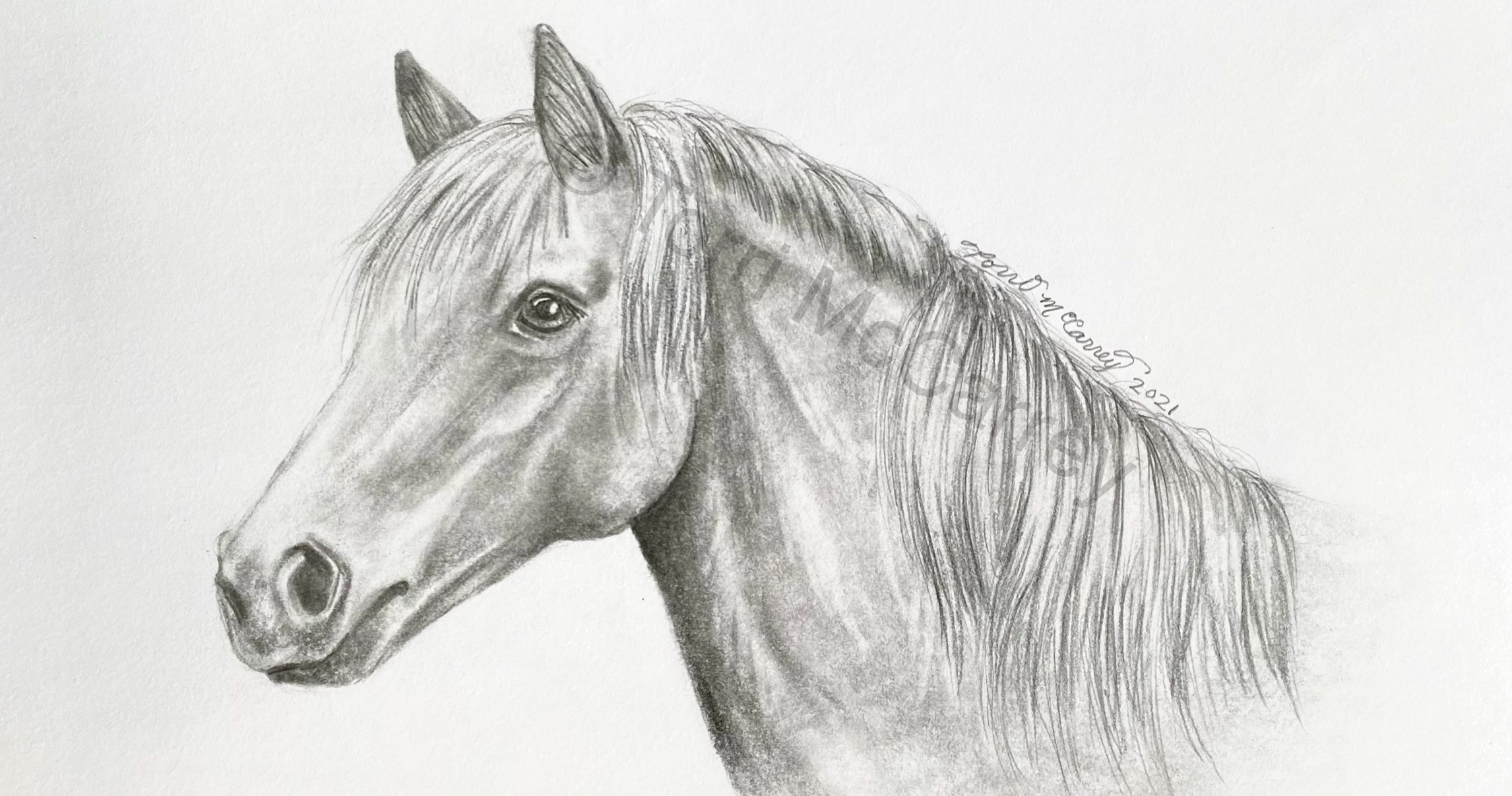 How To Draw A Realistic Horse Head