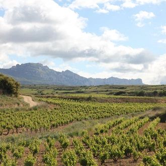 tourhub | Exodus Adventure Travels | Vineyards of La Rioja Cycling 