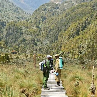 tourhub | Verdoro Safaris | 13-Day Rwenzori Mountain and Bwindi Gorilla Safari 