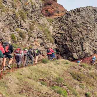 tourhub | Today Voyages | Madeira – No Pain In the Trek 