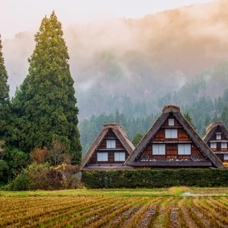 tourhub | Exodus Adventure Travels | Cycling in Japan 