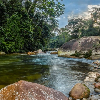 tourhub | Ecuador Galapagos Travels | 4 Days Amazon Sustainable Lodge 