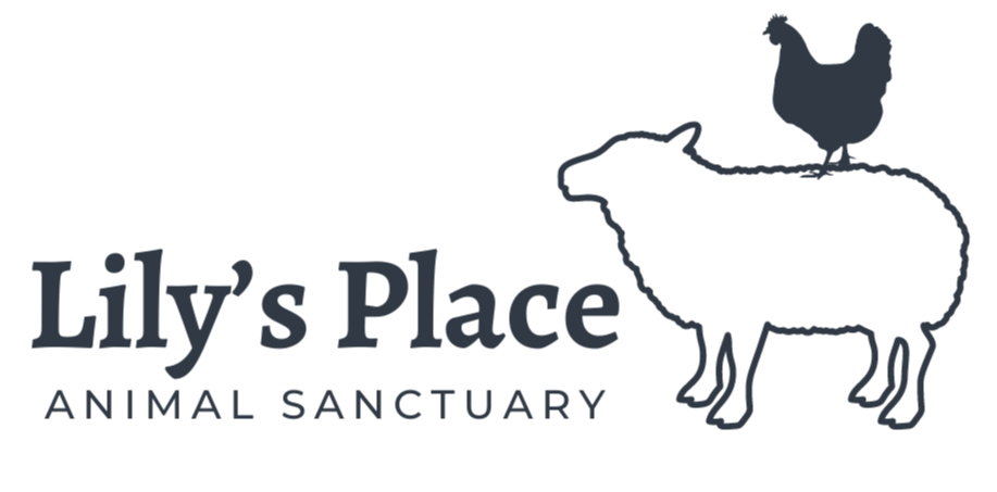 Lily's Place Animal Sanctuary logo