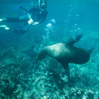 tourhub | Intrepid Travel | Pure Galapagos (Grand Daphne) 