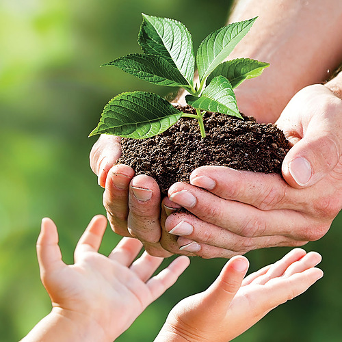 Représentation de la formation : Préparation au Certibiocide Désinfectants