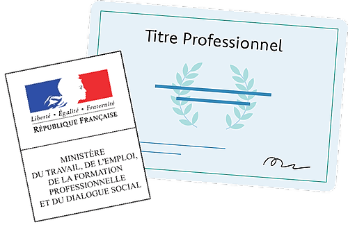 Représentation de la formation : TITRE PROFESSIONNEL GESTIONNAIRE DE PAIE 