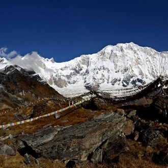 tourhub | Alpine Club of Himalaya | Annapurna Base Camp Trek - 11 Days 