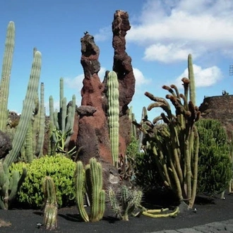 tourhub | Ibero Cycle Tours | Lanzarote- Land of the Volcanoes Cycling Tour. 