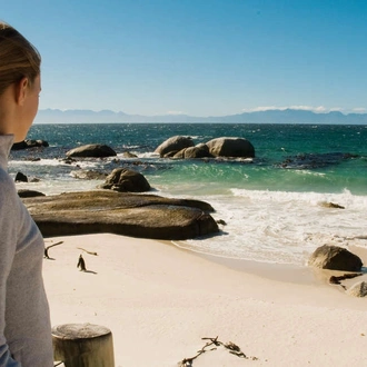 tourhub | Explore! | Family South Africa’s Garden Route and Safari 