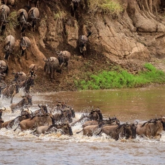 tourhub | Widerange African Safaris | 5 Days Tanzania Serengeti migration Mara River crossing Safari 