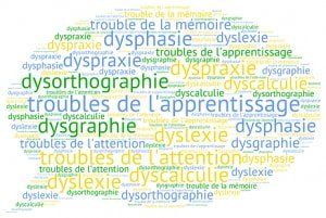 Représentation de la formation : Les troubles Dys : Mieux les comprendre pour mieux les accompagner - 19/10/2024 - 09h-12h / 13h-17h