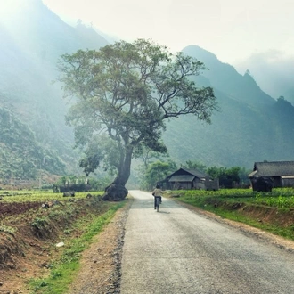 tourhub | Mr Linh's Adventures | Remote far North Vietnam 9 days 8 nights 