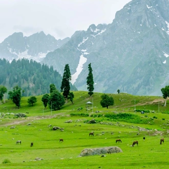 tourhub | Panda Experiences | Amazing Kashmir 