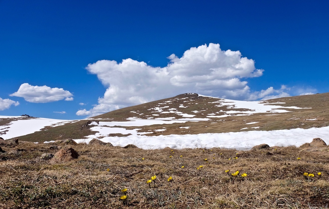 1-Day Rocky Mountain National Park Tour From Denver | A Maximum of 13 Travelers 