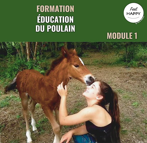 Représentation de la formation : Education du poulain - Module 1 