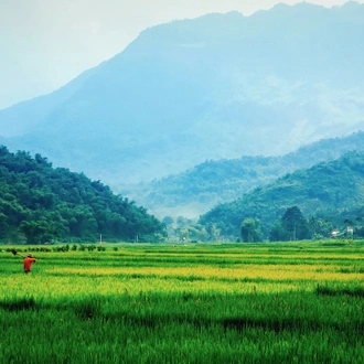 tourhub | SpiceRoads Cycling | Road Biking the Ho Chi Minh Highway 