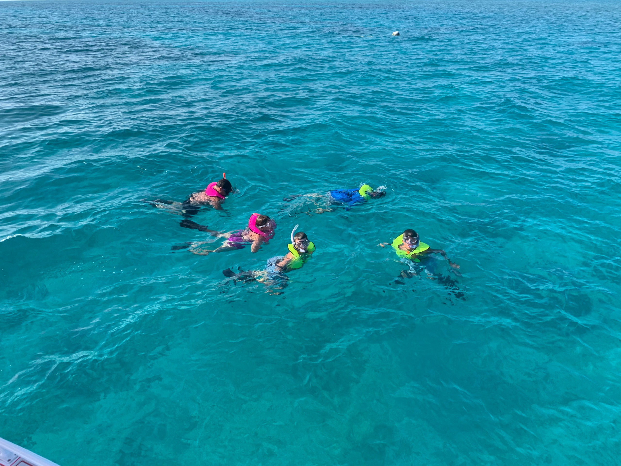 Snorkeling Excursion!