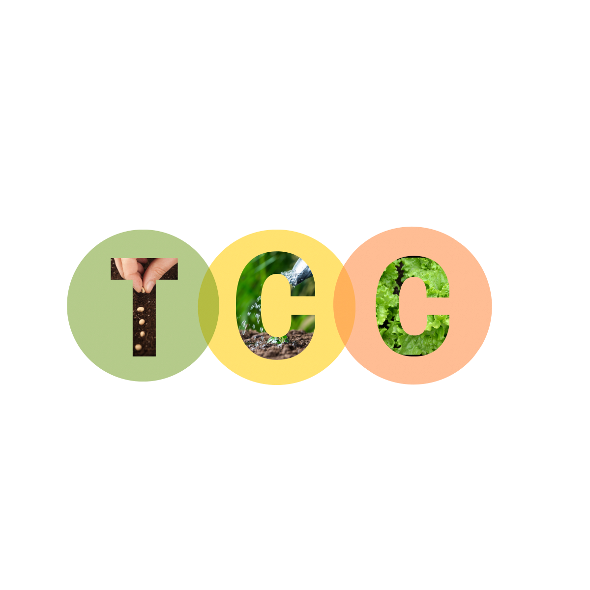 TCC COMMUNITY HEALTH FOUNDATION logo