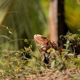 tourhub | Exodus Adventure Travels | Discover Costa Rica 