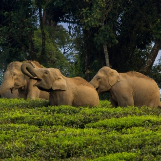 tourhub | Panda Experiences | Discover North & South India 