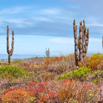 tourhub | Exodus Adventure Travels | Galapagos: In Darwin's Footsteps 