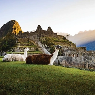 tourhub | Globus | Independent Machu Picchu & Cusco Getaway 