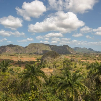 tourhub | G Adventures | Biking Cuba 