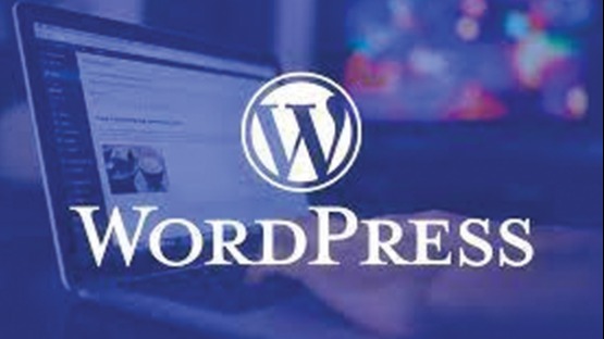 Représentation de la formation : Wordpress