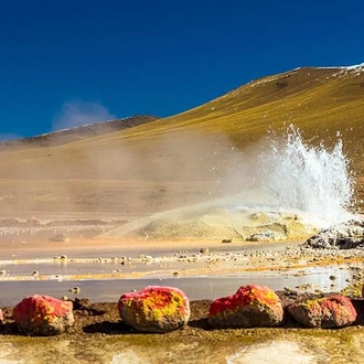 tourhub | Bamba Travel | Uyuni Salt Flats & Desert Adventure 3D/2N (Uyuni to Uyuni) 