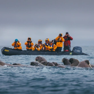 tourhub | Intrepid Travel | Spitsbergen Highlights: Journey into the Arctic Wilderness 