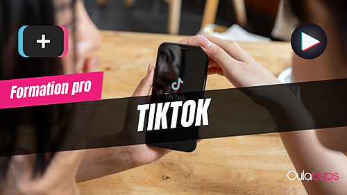 Représentation de la formation : TikTok pour mon entreprise