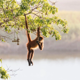 tourhub | Exodus Adventure Travels | Costa Rica's Coastal Secrets 