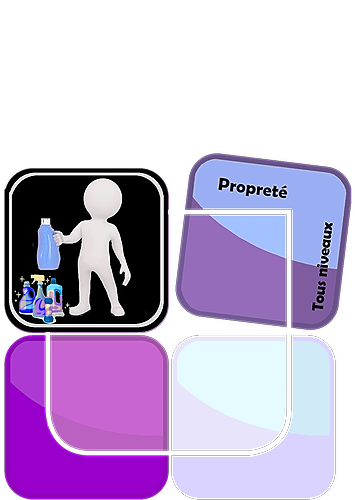 Représentation de la formation : Chimie des produits pour une prestation de remise en état