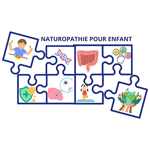 Représentation de la formation : Naturopathie spécifique à l'accompagnement de l'enfant de 3 à 11 ans